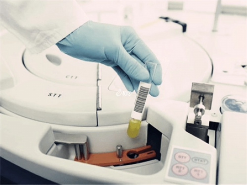 辽阳供卵代怀孕三代试管包儿子