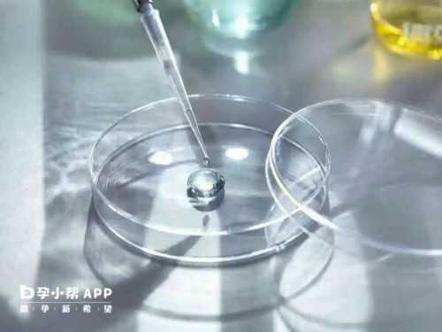 代怀孕有出生证吗_代怀生男孩捐卵,「深圳哪家医院试管权威」试管婴儿服务好