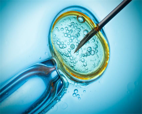 洛阳做代怀哪些医院|「驻马店试管婴儿」柬埔寨试管婴儿成功率怎么样