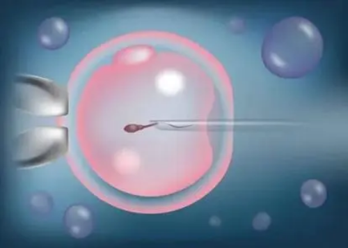 河南哪试管助孕呢？,河南哪个医院看不孕看的好呢