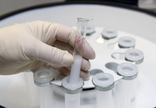 代怀服务_辅助代怀网_哈尔滨试管婴儿医院哪家最好成功率是多少