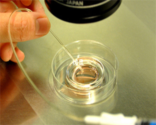 河南助孕价格,河南**男孩,河南**妈妈,河南武警试管婴儿医院价格多少钱？