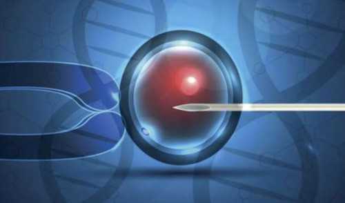 河南试管代孕中心哪家好？