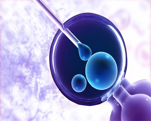 代怀孕哪里好_找捐卵代怀多少钱_能不能在试管实验室通过精子优化处理分离