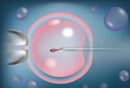 在洛阳中山六院做试管婴儿初诊要求带什么资料？