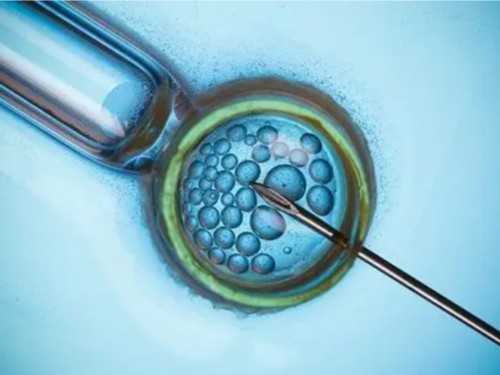 洛阳宝宝办理出生登记流程,洛阳优生优育免费检查的申请流程是怎样的