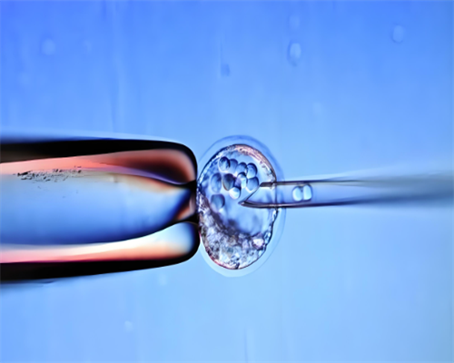 【河南站】上半场实况分享,9月河南→重庆→河南站