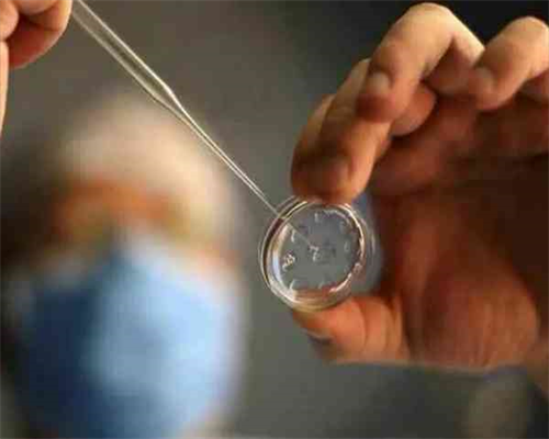 洛阳试管代孕中心|美国试管婴儿专家告诉您：哪些习惯容易导致试管婴儿畸形