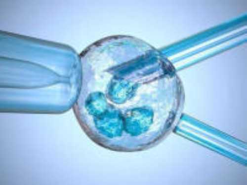 河南助孕价格,河南**男孩,河南**妈妈,河南武警试管婴儿医院价格多少钱？