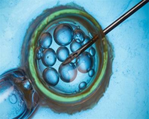 2026南阳市中心医院做试管婴儿可以选性别吗？附河南三代试管生男孩医院排名