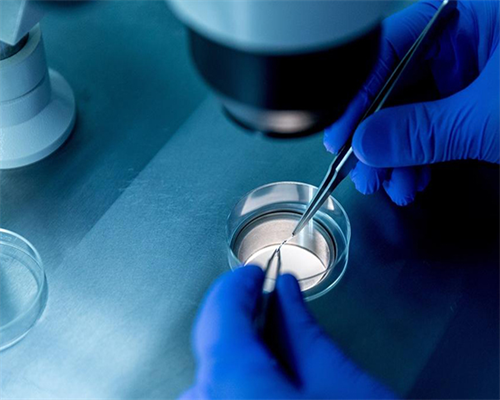 洛阳三代代怀|试管婴儿专家告诉你为什么人类有高潮？