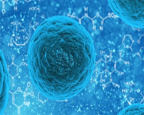 洛阳哪些医院能冻卵,卵巢早衰在洛阳哪个中医