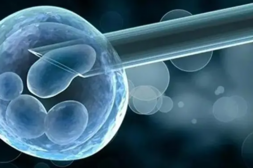 河南自愿供卵合法吗 河南省人民医院做供卵需要排队吗? ‘孕妇b超单怎么看男