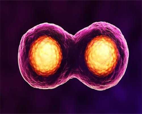 洛阳iso认证,洛阳iso认证办理电话,洛阳iso认证机构