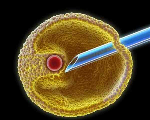 丰城供卵代怀,做供卵代怀试管代生取精前禁欲多少天