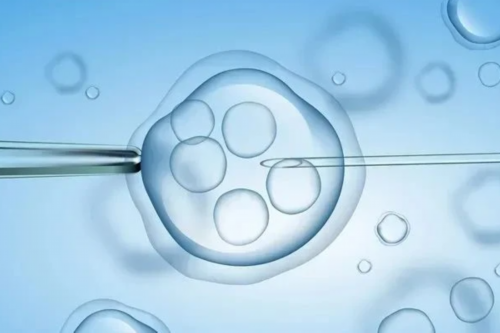 洛阳免费孕检医院：洛阳助孕机构哪家好