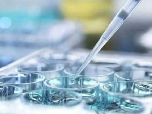 【河南站】上半场实况分享,9月河南→重庆→河南站