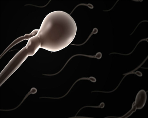 专业代怀联系电话_代怀孕价格是多少_胚胎7c3质量是什么级别的？