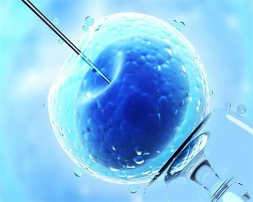 信阳做第三代试管婴儿花多少钱？河南三代试管婴儿多少钱