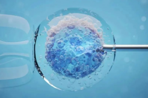 洛阳人工授精要多少钱？,洛阳北大医院第三代试管筛查染色体多少钱?