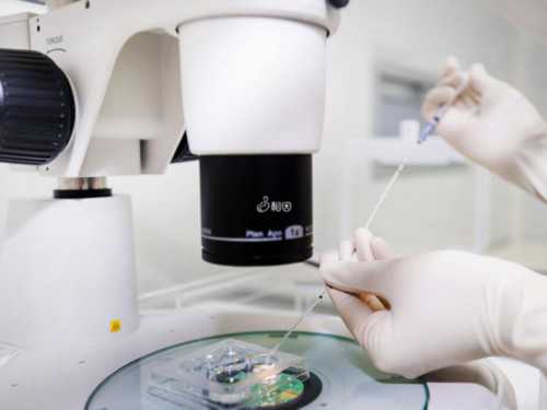 河南供卵公司介绍-河南靠谱供卵医院