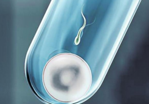 河南妇产医院生殖中心做试管的成功率高吗？,河南大学河南医院试管成功率是