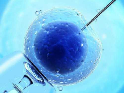 河南河南去泰国做试管婴儿有没有推荐的平台啊？