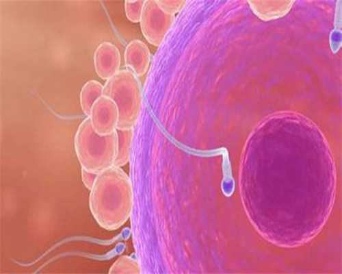 洛阳试管婴儿医院推荐,洛阳做试管好的医院排名