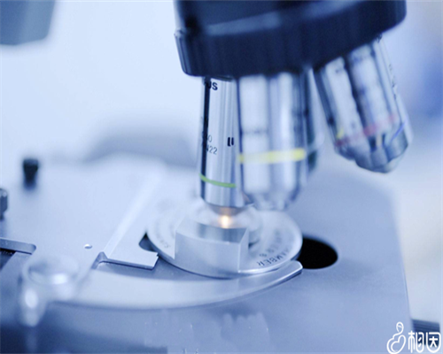 河南iso认证,河南iso认证办理电话,河南iso认证机构