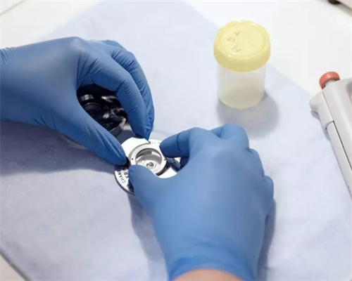 河南试管代孕中心哪家好？