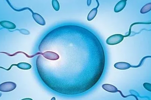 河南最大的助孕公司优贝贝怎么找,河南金航标公司正规吗