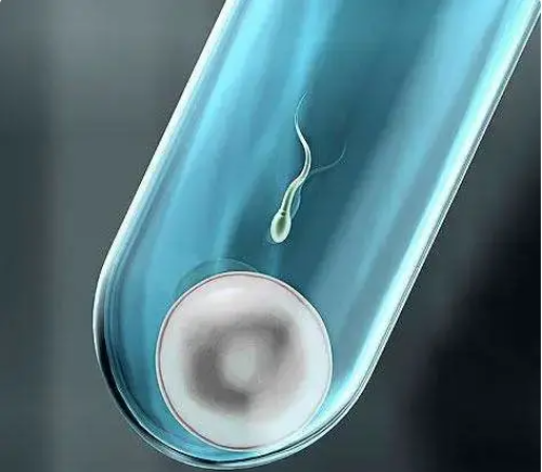 湖北洛阳做试管婴儿有补贴吗？?,洛阳试管包生男孩是真的吗？