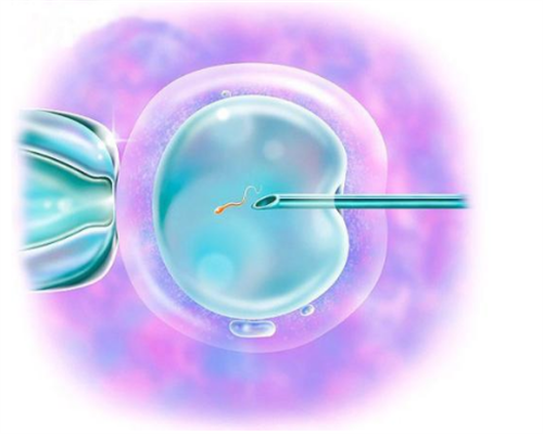 江苏大学附属洛阳中心医院（洛阳市中心医院）体检中心