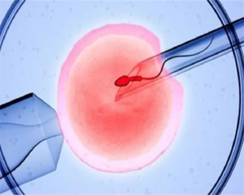 代怀生子正规规孕_代怀孕套餐_丹江口试管费用明细表,丹江口试管费用明细表