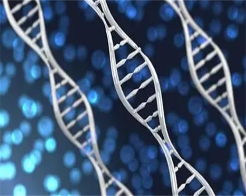 洛阳试管婴儿费用明细,洛阳试管婴儿费用