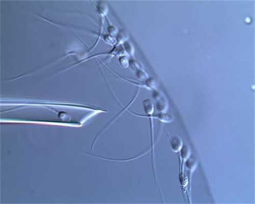 代怀在线咨询_代怀好不好_忻州三代试管婴儿的费用大约