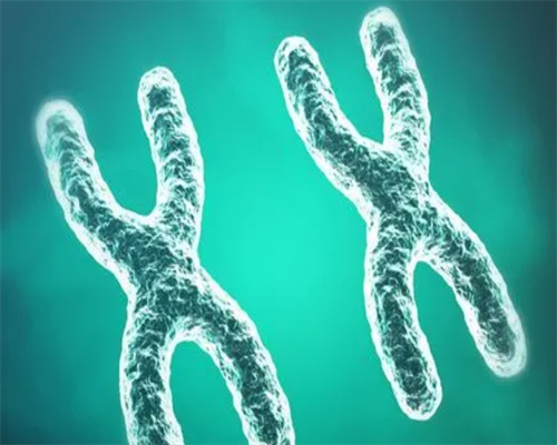 河南高龄借卵价格_2026宜宾市第二人民医院做试管婴儿大概多少钱？附宜宾市第