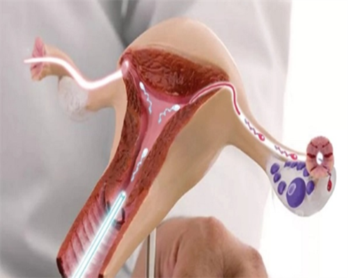 郑州大学生代孕,郑州助孕中心哪里好？供卵试管费用高吗？_试管移植后胚胎在