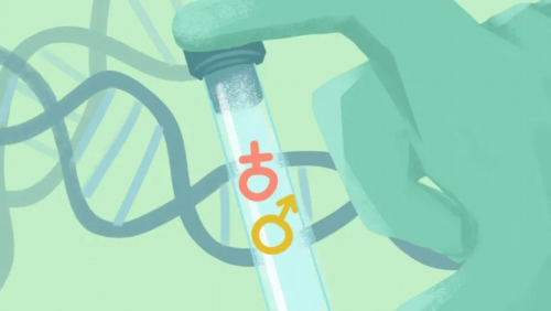 洛阳人看病都不去湘雅吗,洛阳试管移植成功率高吗？