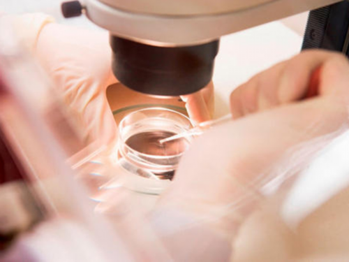 2026​河南省三代试管婴儿医院大全2026河南试管收费价目表