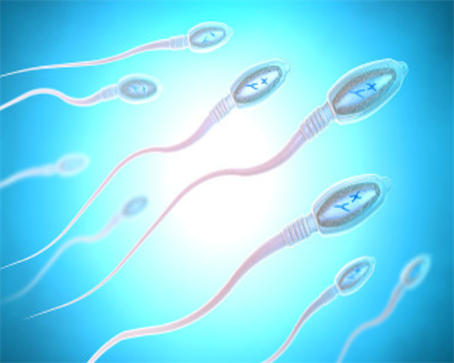 河南三代试管婴儿包男孩医院排行,河南省生殖医院（河南省人民医院）