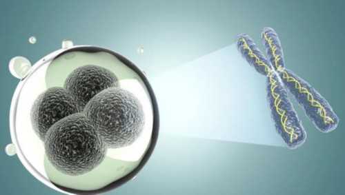 9月河南→重庆→河南站,【河南站】下半场实况分享