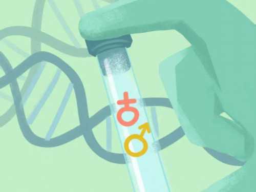 郑州供卵机构排名,2026郑州供卵试管医院排名