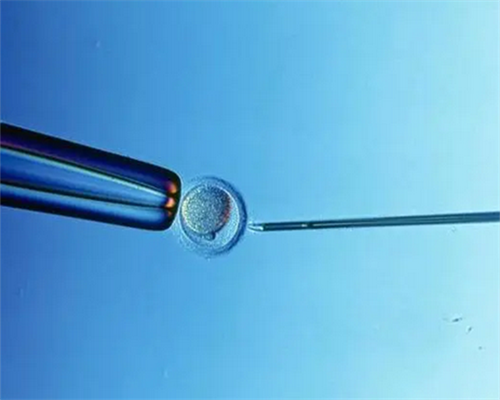 做试管去河南的周口市中心医院如何（附费用与成功率）