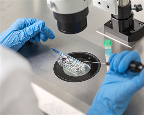 河南试管包生儿子多少钱一次,2026河南三代试管包生男孩价格贵吗？