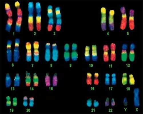 洛阳代孕卵子是谁的|仁怀哪里有做试管婴儿的医院，成功率有多高？