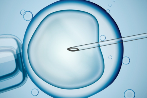 河南2026试管婴儿做一次多少钱,河南大学河南医院做试管婴儿胚胎移植费用大概
