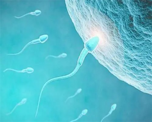 洛阳代孕签证申请|试管婴儿术前检查注意事项？北京哪家试管婴儿医院好