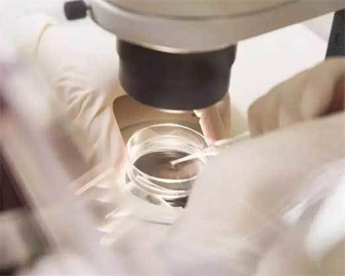 洛阳iso认证,洛阳iso认证办理电话,洛阳iso认证机构