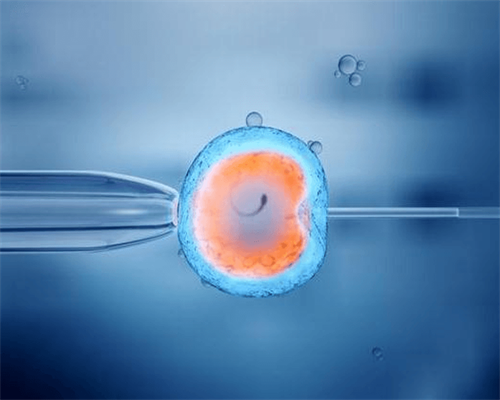 优化生殖健康，建立完善的备孕计划